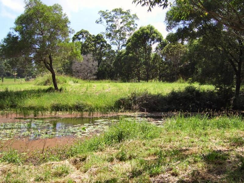 Mapleton QLD 4560
