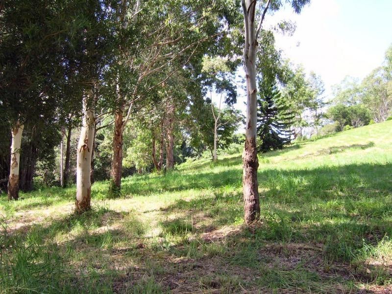 Mapleton QLD 4560