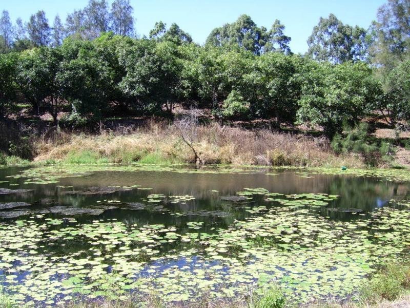 410 Flaxton Drive, Flaxton QLD 4560