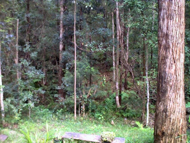 63 Leigha Place, Kureelpa QLD 4560