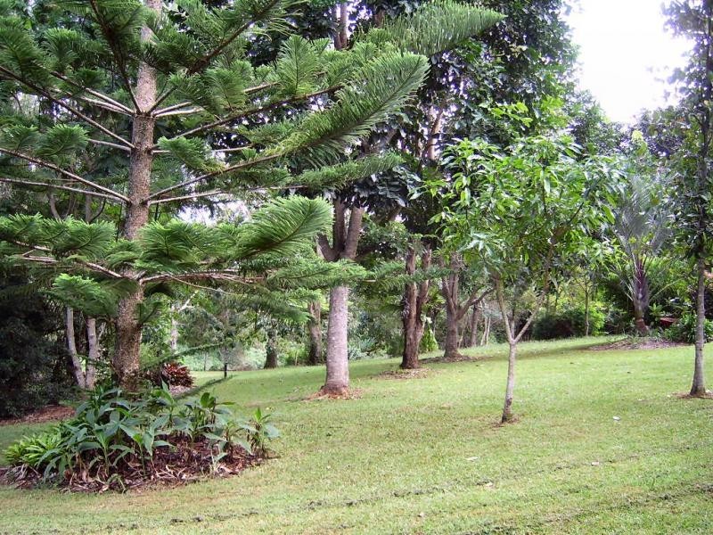 12 Glover Court, Montville QLD 4560