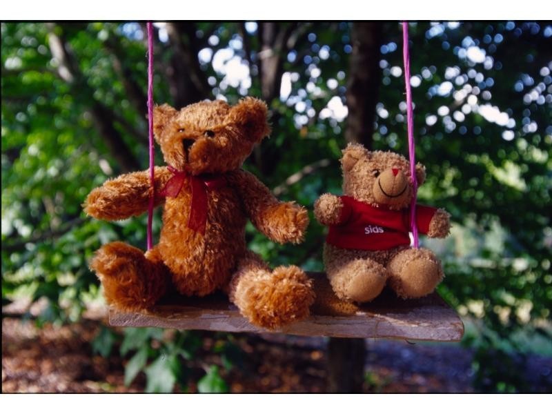 64 Johnson Road, Mapleton QLD 4560