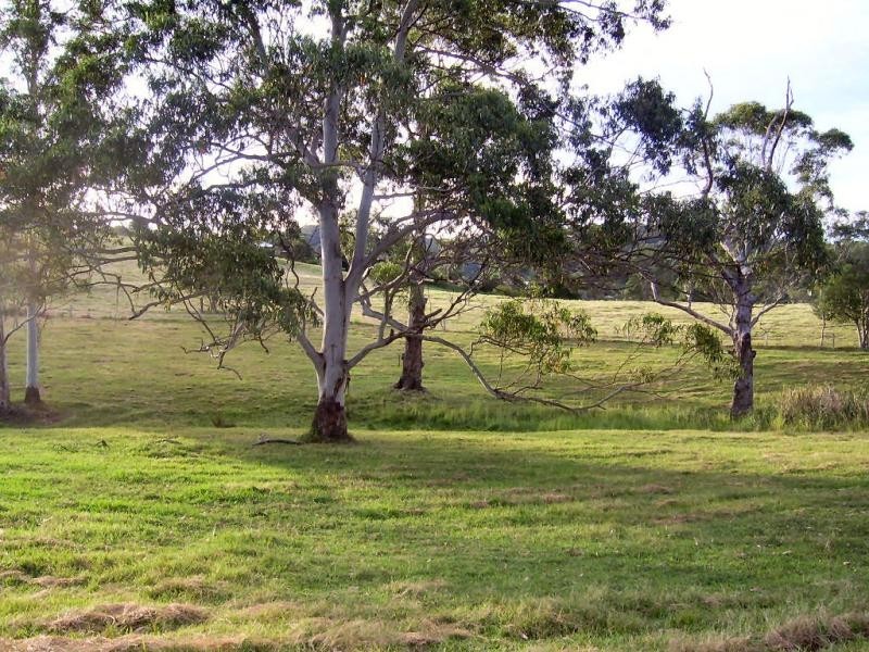 37 Sherwell Road, Dulong QLD 4560