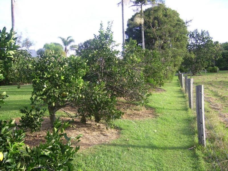 37 Sherwell Road, Dulong QLD 4560