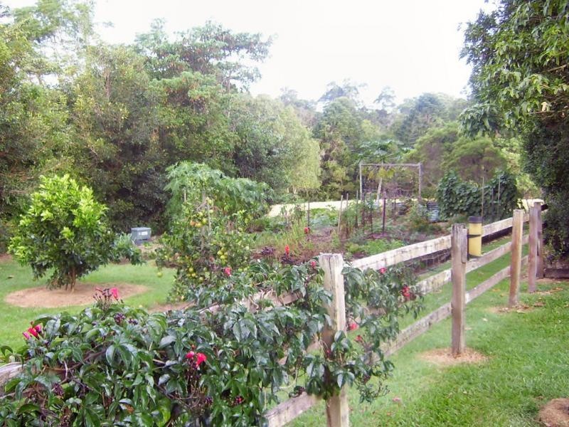 37 Sherwell Road, Dulong QLD 4560