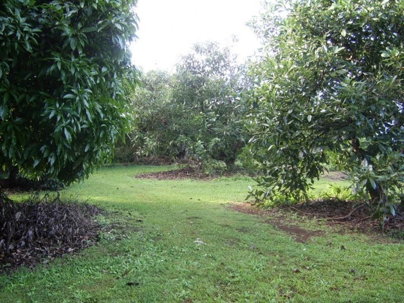 38 Flaxton Mill Road, Flaxton QLD 4560