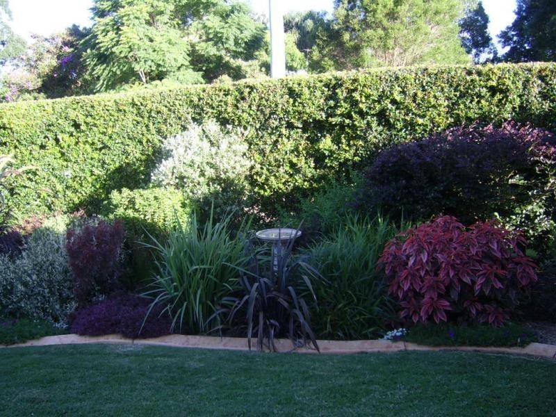 1 Cirrus Place, Flaxton QLD 4560