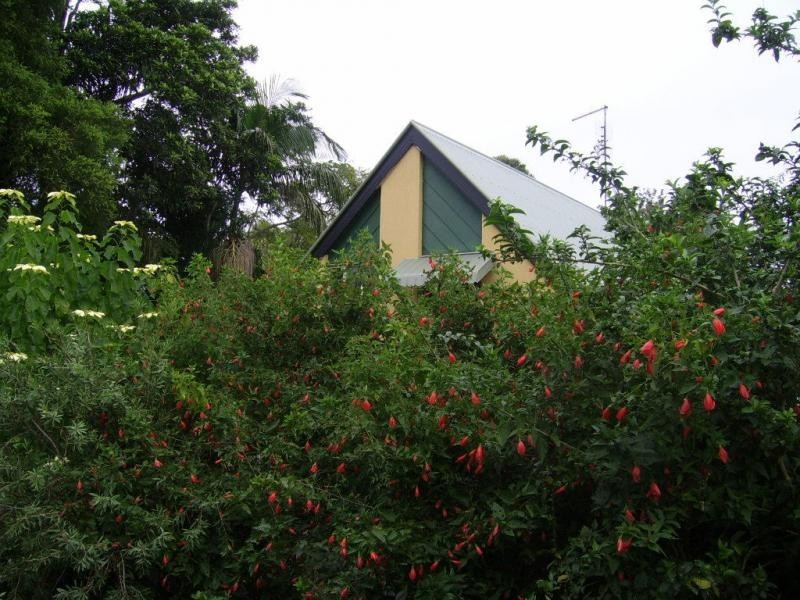 6 Wilga Court, Mapleton QLD 4560