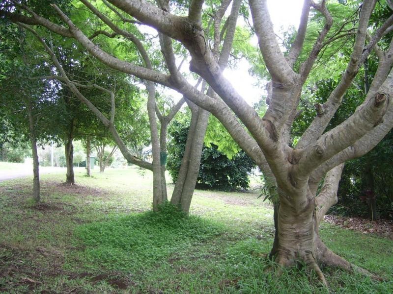 324 Dulong Road, Dulong QLD 4560