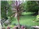315 Obi Obi Road, Mapleton QLD 4560