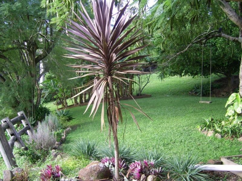 315 Obi Obi Road, Mapleton QLD 4560