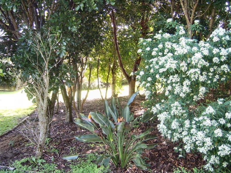 2 Rainbow Park Drive, Mapleton QLD 4560