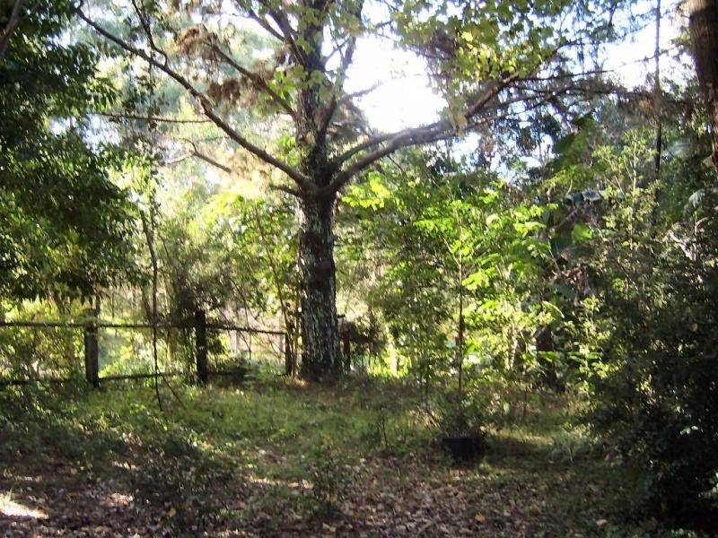 86 Obi Obi Road, Mapleton QLD 4560