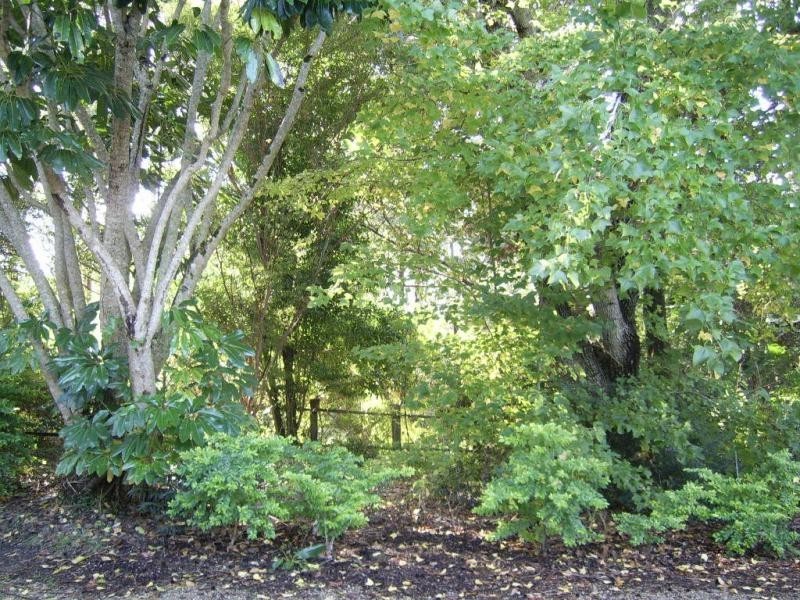 86 Obi Obi Road, Mapleton QLD 4560