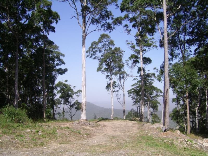 Mapleton QLD 4560