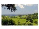 6 Maple Avenue, Mapleton QLD 4560