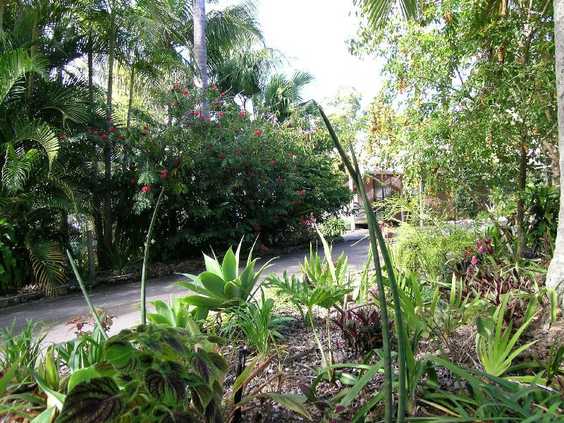 50 Savilles Road, Highworth QLD 4560