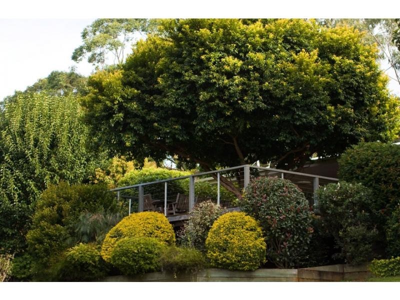 1 Cycad Place, Flaxton QLD 4560