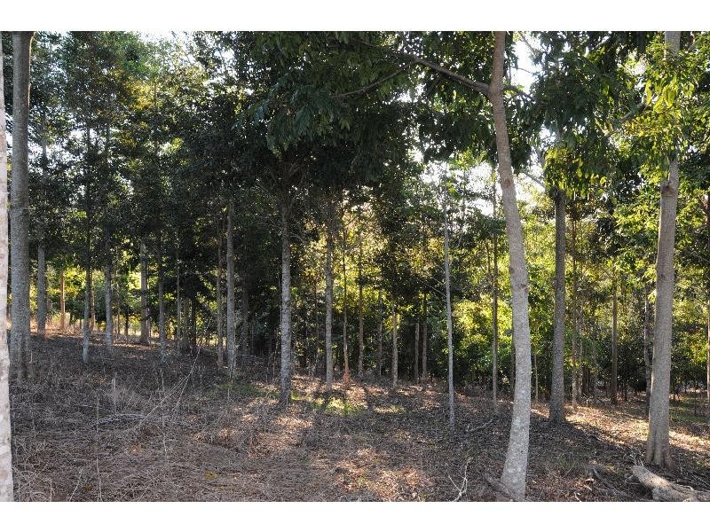 94 Sherwell Road, Dulong QLD 4560