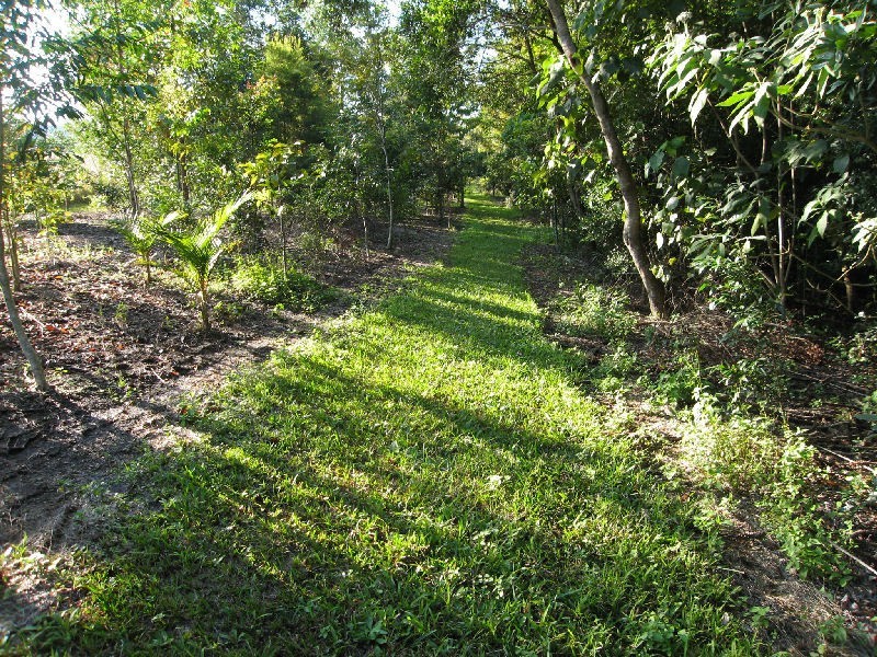 94 Sherwell Road, Dulong QLD 4560