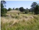 1298 Obi Obi Road, Kidaman Creek QLD 4574