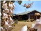1298 Obi Obi Road, Kidaman Creek QLD 4574