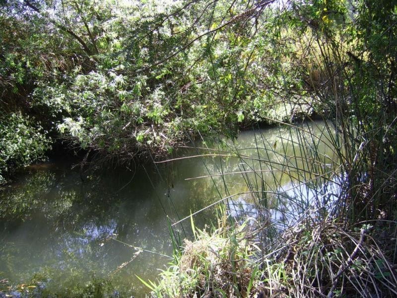 1298 Obi Obi Road, Kidaman Creek QLD 4574
