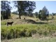 1298 Obi Obi Road, Kidaman Creek QLD 4574