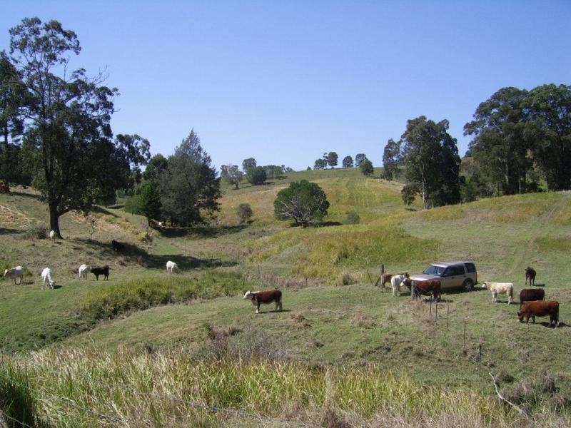 1298 Obi Obi Road, Kidaman Creek QLD 4574