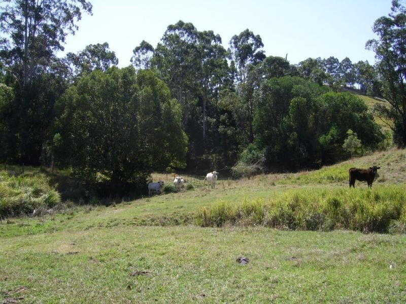 1298 Obi Obi Road, Kidaman Creek QLD 4574