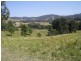 1298 Obi Obi Road, Kidaman Creek QLD 4574