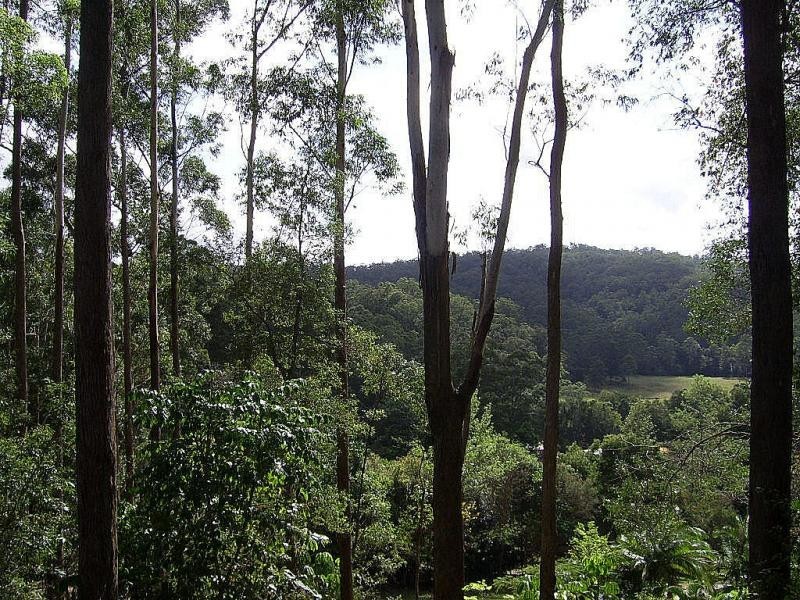 20 Ratcliffe Road, Diamond Valley QLD 4553