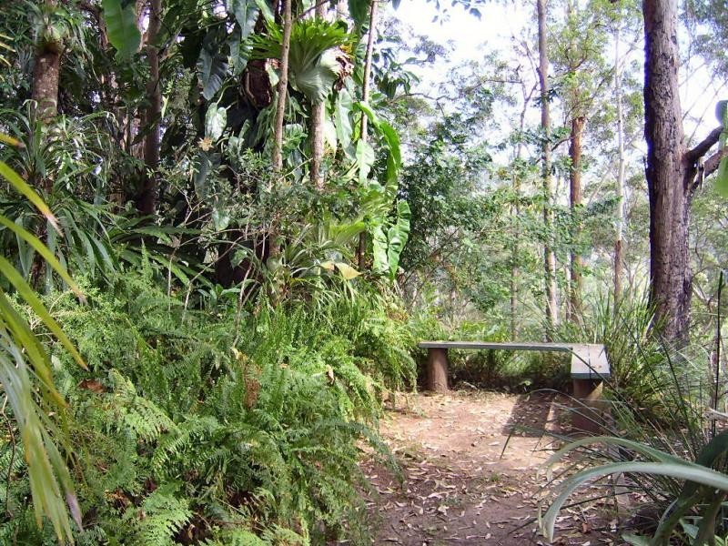 20 Ratcliffe Road, Diamond Valley QLD 4553