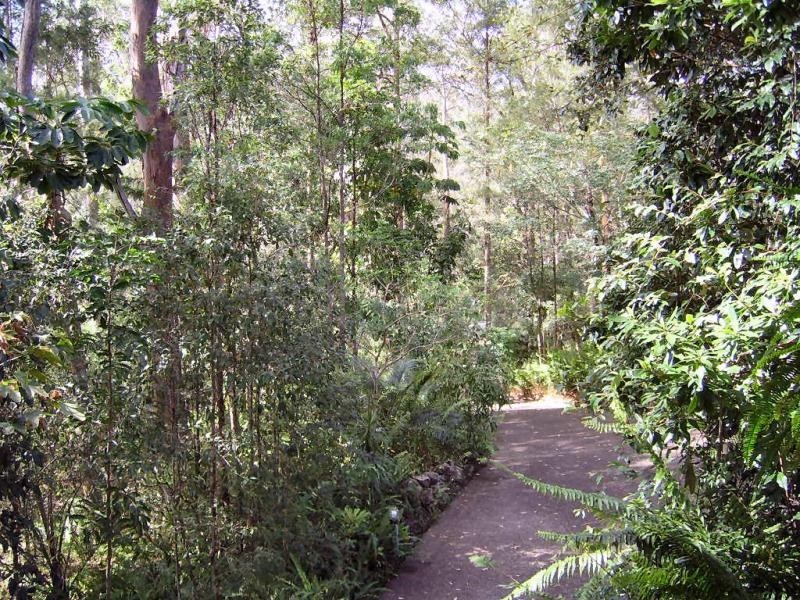 20 Ratcliffe Road, Diamond Valley QLD 4553