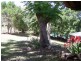194 Kureelpa Falls Road, Kureelpa QLD 4560