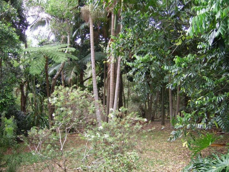 43 Western Avenue, Montville QLD 4560