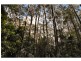 Mapleton QLD 4560