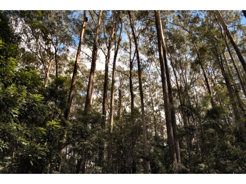 Mapleton QLD 4560