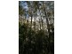 Mapleton QLD 4560