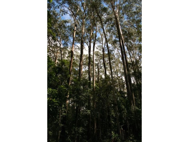 Mapleton QLD 4560