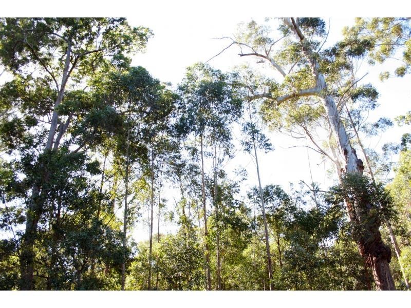 Kureelpa QLD 4560