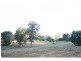Mapleton QLD 4560