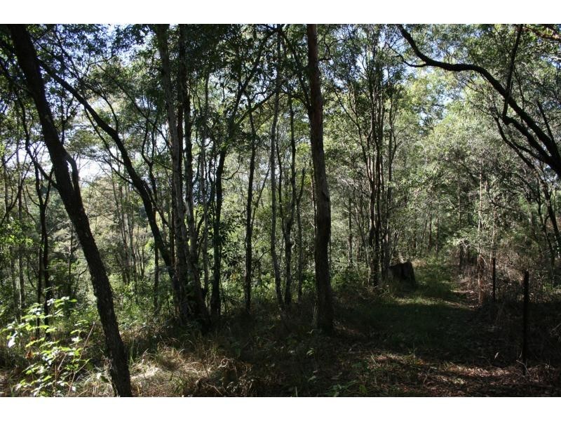 West Woombye QLD 4559