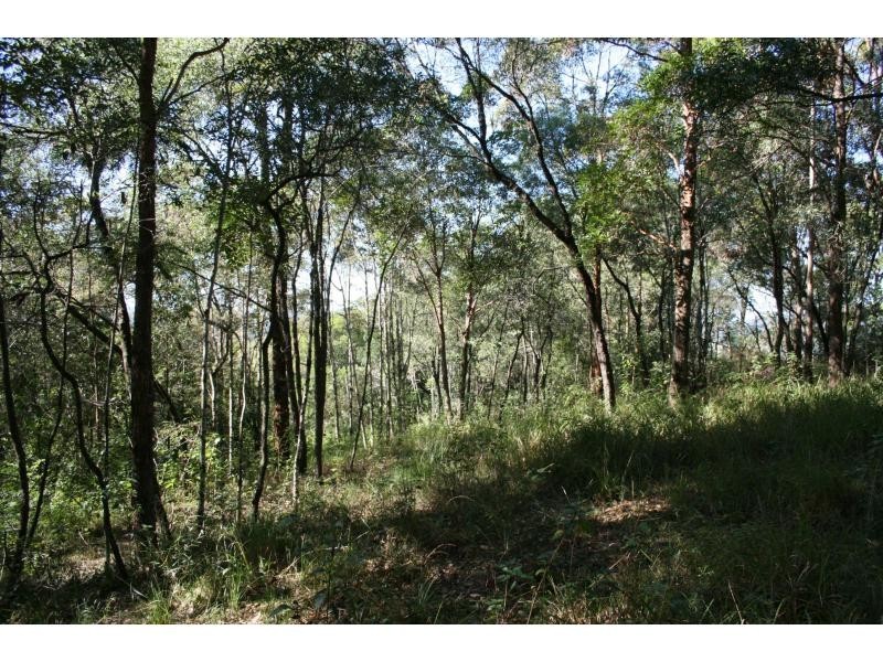 West Woombye QLD 4559