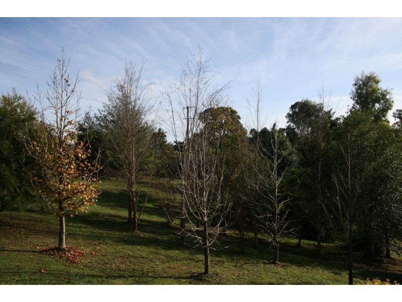 15 Jewett Road, Kureelpa QLD 4560