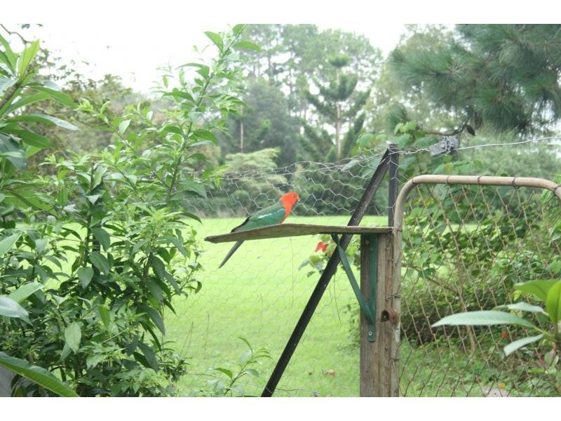 Mapleton QLD 4560
