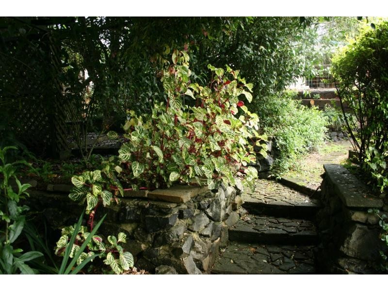 20 Carrington Drive, Flaxton QLD 4560