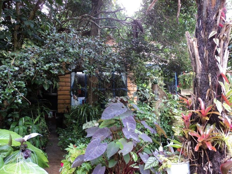 260 Western Avenue, Montville QLD 4560