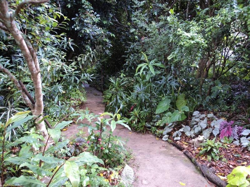 260 Western Avenue, Montville QLD 4560