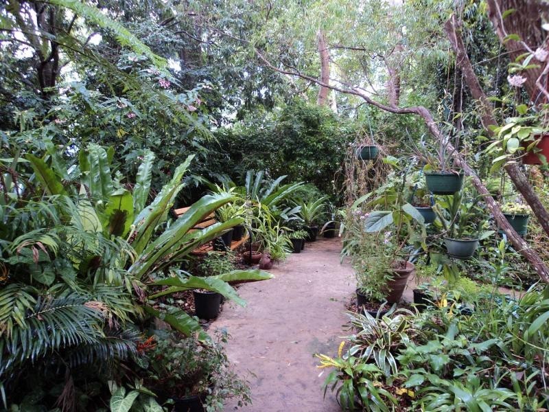 260 Western Avenue, Montville QLD 4560